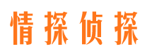 天桥市婚姻出轨调查